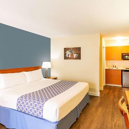 Econo Lodge Inn & Suites University Κάλγκαρι Εξωτερικό φωτογραφία