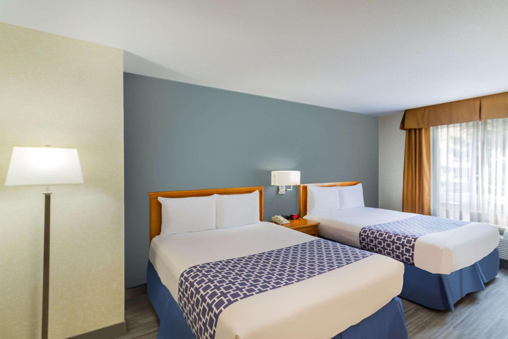 Econo Lodge Inn & Suites University Κάλγκαρι Εξωτερικό φωτογραφία
